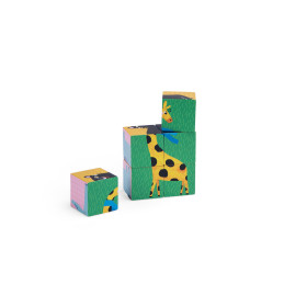 6 cubes les toupitis face girafe